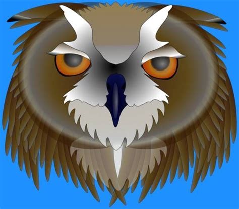 are hummingbirds afraid of fake owls